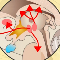 De rol van dopamine thumbnail